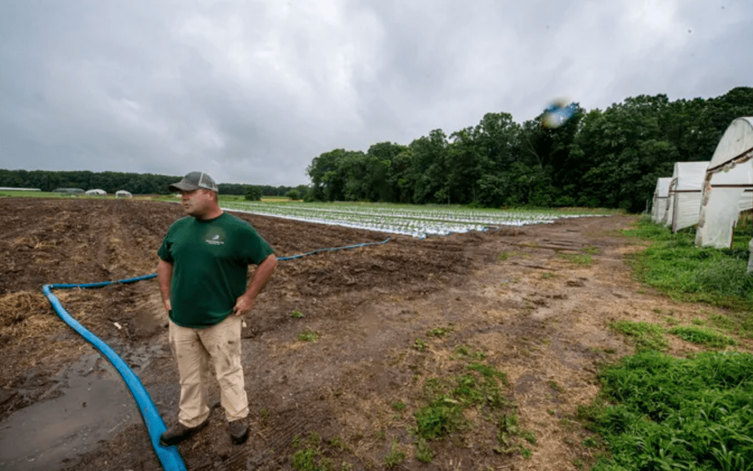 South Jersey farmers say Americans need to start buying local produce or they won’t survive