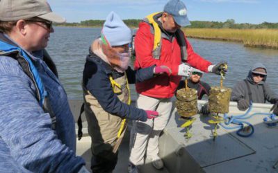Rutgers University develops oyster reef ecosystem to prevent beach erosion